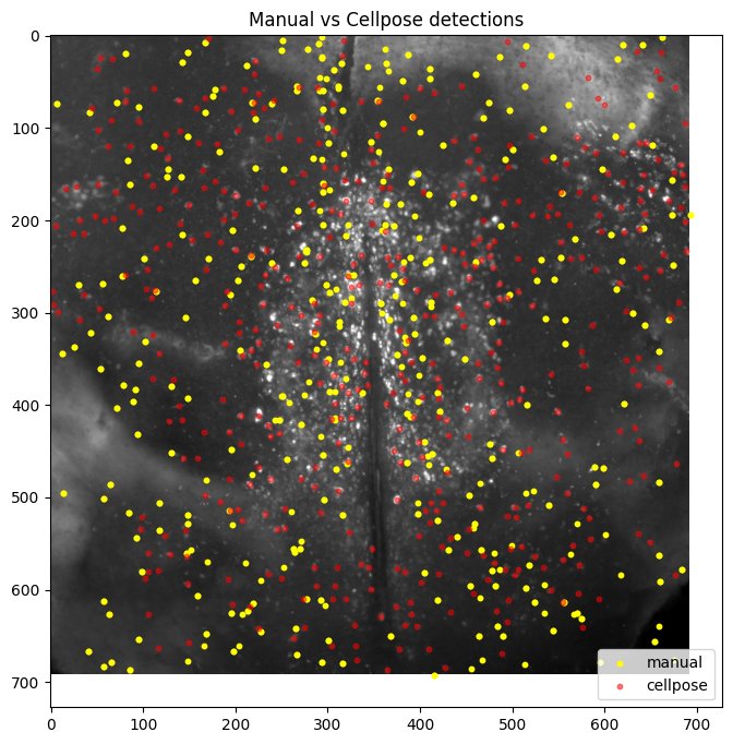 Manual annotations in yellow and Cellpose detections in red over the projection